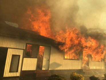 Al menos 15 viviendas han sido afectadas por incendio forestal en Arauco: decretan Alerta Roja