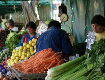 Dictan nuevo decreto para el funcionamiento de las ferias hortofrutícolas de Valparaíso durante la contingencia