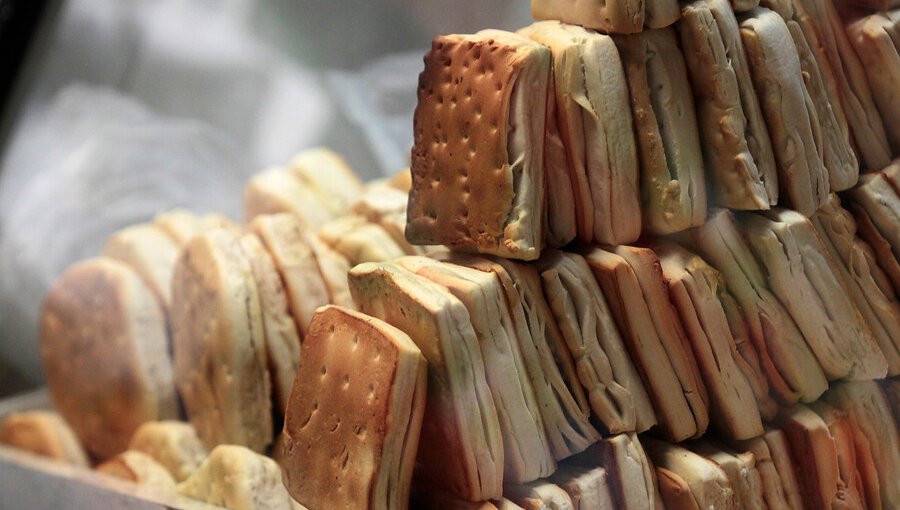 Encuesta revela los productos más consumidos por los hogares de las principales ciudades de Chile