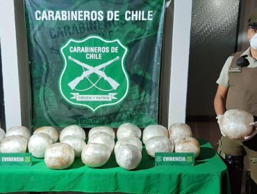 Control vehicular termina con el hallazgo de casi 24 kilos de marihuana elaborada en Papudo