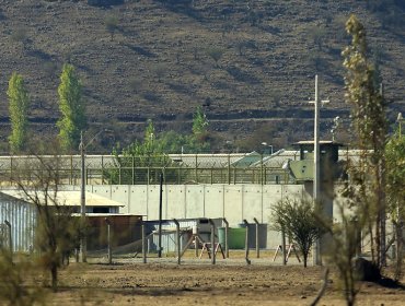 Tribunal Constitucional declara admisible requerimiento de Chile Vamos contra ley de indulto