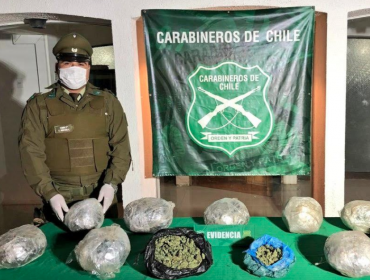 Carabineros decomisa más de 10 kilos de marihuana elaborada que se encontraba enterrada en San Felipe