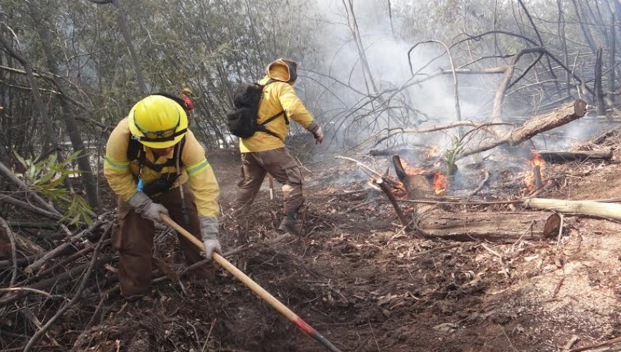 Conaf reitera que las quemas agrícolas y forestales están prohibidas en la región de Valparaíso