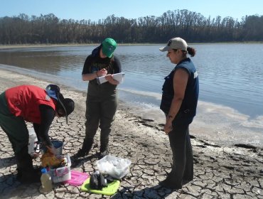 Investigadores advierten sobre la mala calidad del estado ecológico del humedal El Yali