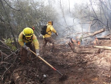 Conaf reitera que las quemas agrícolas y forestales están prohibidas en la región de Valparaíso