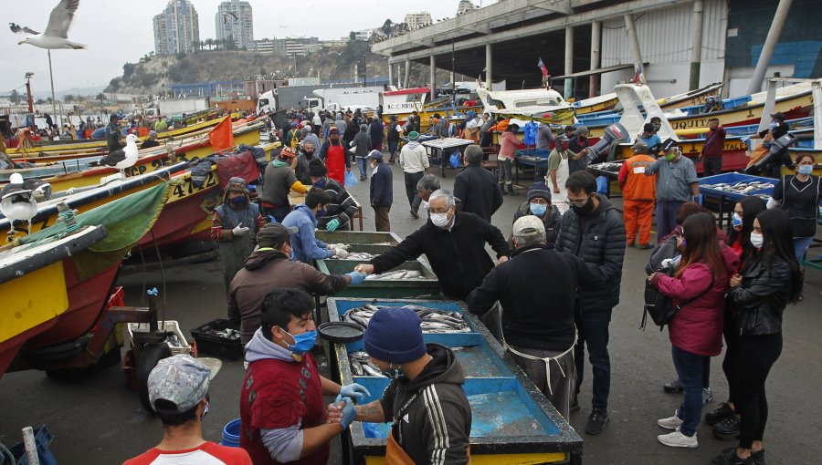 Semana Santa: 86 caletas están atendiendo, 14 de ellas en modo delivery