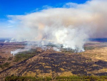 Amenazantes incendios forestales se aproximan a la planta nuclear de Chernóbil, en Ucrania