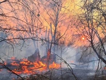 Logran controlar incendios forestales que amenazaban la planta nuclear de Chernóbil