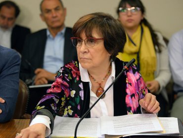 Diputada Hertz denuncia a miembros del Tribunal Constitucional por presunta “prevaricación” y “cohecho"