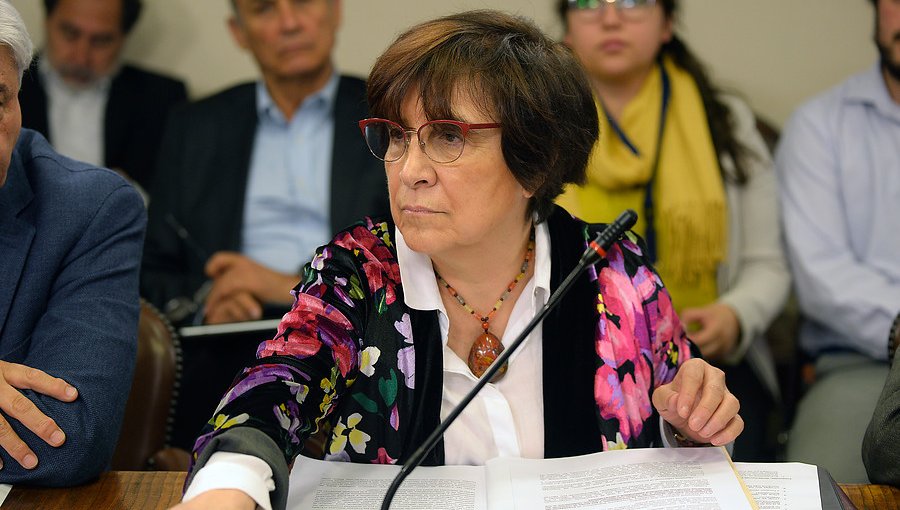 Diputada Hertz denuncia a miembros del Tribunal Constitucional por presunta “prevaricación” y “cohecho"