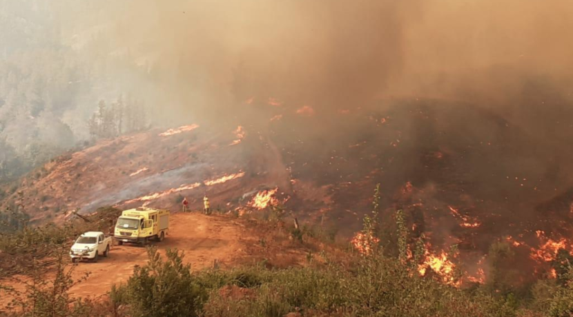 Extienden la Alerta Roja para la comuna de Vichuquén por incendio forestal