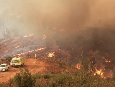 Extienden la Alerta Roja para la comuna de Vichuquén por incendio forestal