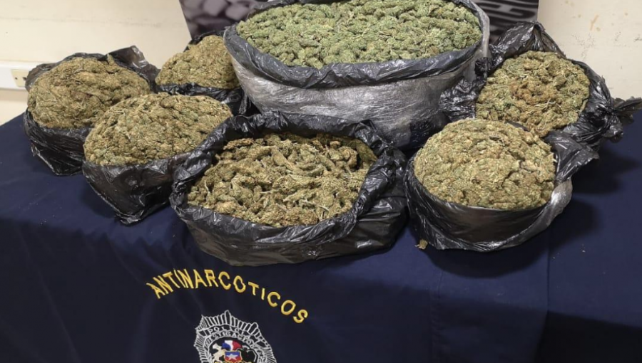 Banda criminal fue detenida cuando intentaba comercializar 11 kilos de marihuana en Concón y Viña del Mar