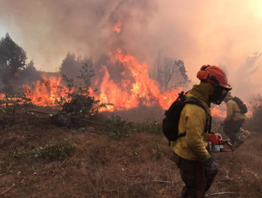 Conaf llamó a reforzar la prevención de incendios forestales ante condiciones de riesgo en la región de Valparaíso