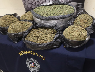 Banda criminal fue detenida cuando intentaba comercializar 11 kilos de marihuana en Concón y Viña del Mar