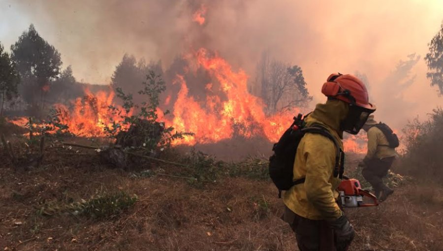 Conaf llamó a reforzar la prevención de incendios forestales ante condiciones de riesgo en la región de Valparaíso