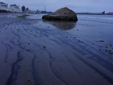 Ofician a Superintendencia y Seremi del Medio Ambiente por nuevo varamiento de carbón en Puchuncaví