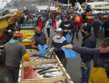 Gobierno anuncia bono de $150.000 para pescadores artesanales por una vez