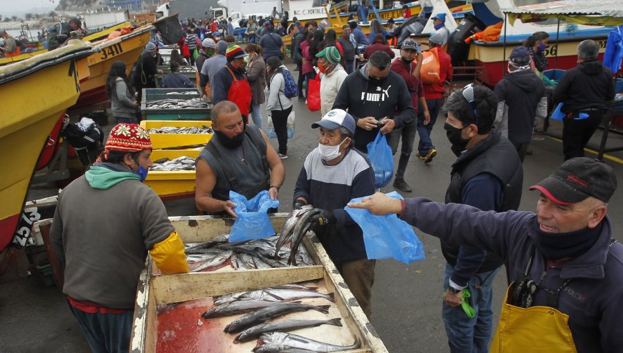 Gobierno anuncia bono de $150.000 para pescadores artesanales por una vez