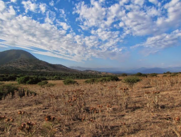 Vecinos de Papudo denuncian que municipio no les suministra agua potable y que la deben comprar a alto costo