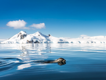 Geólogos chilenos buscan revelar el origen de la península Antártica