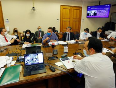 Comisión de Hacienda despachó a la Sala proyecto que crea ingreso familiar de emergencia