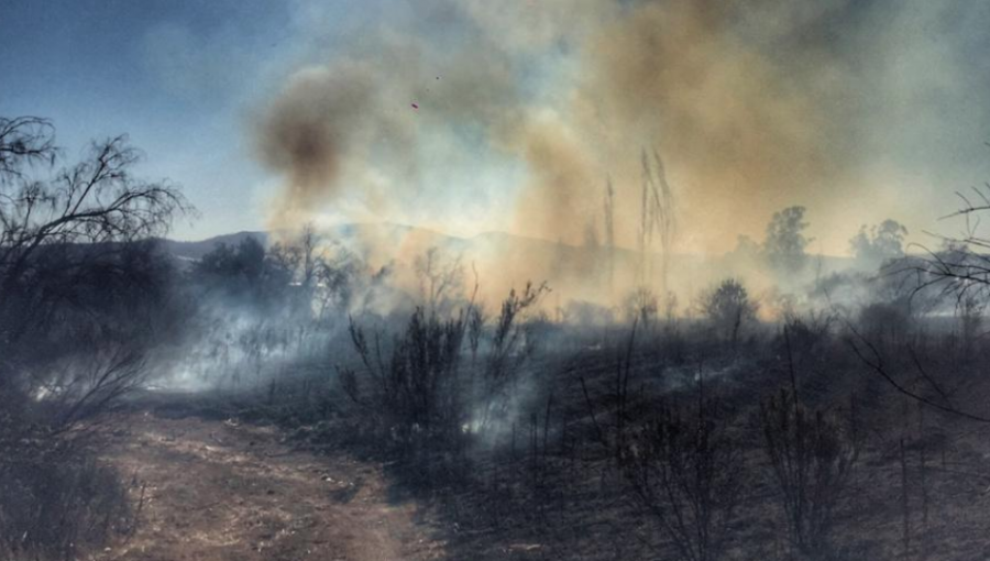 Mantienen Alerta Roja por incendio forestal que amenaza a zona poblada de San Pedro