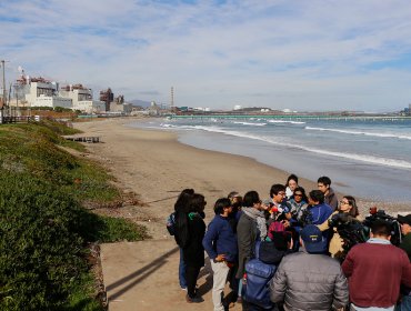 Senador Latorre oficia al Ministerio de Medio Ambiente tras nuevos peak de contaminación en Puchuncaví