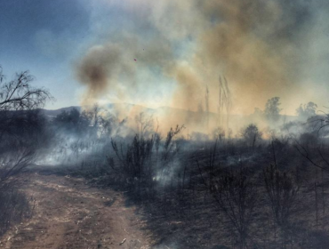 Mantienen Alerta Roja por incendio forestal que amenaza a zona poblada de San Pedro