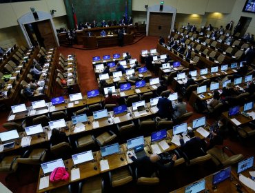 De madrugada, Cámara de Diputados aprueba ingreso familiar de emergencia durante la pandemia