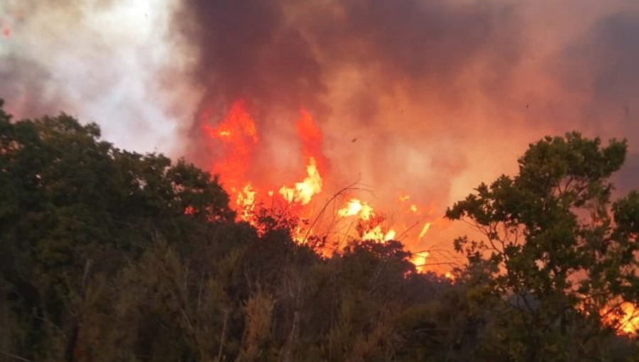 Alerta Roja en Marga Marga: 10 personas fueron evacuadas porque incendio forestal se acercaba a sus casas