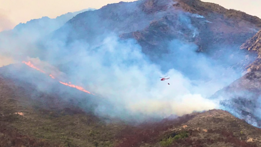 Alerta Roja en Marga Marga: incendio forestal ha consumido 400 hectáreas de bosque nativo en Quilpué y Limache