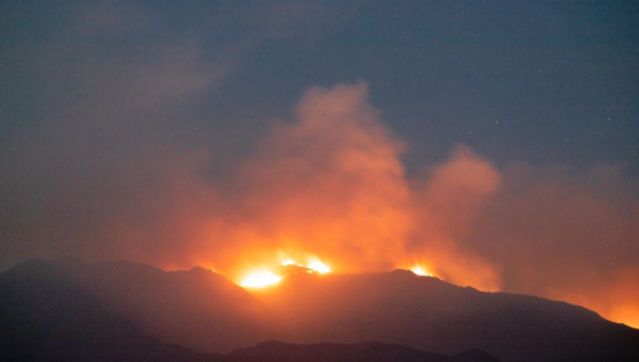 Alerta Roja en Marga Marga: incendio forestal consume 750 hectáreas de bosque nativo en Quilpué y Limache