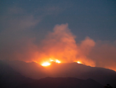 Alerta Roja en Marga Marga: incendio forestal consume 750 hectáreas de bosque nativo en Quilpué y Limache