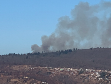 Activan Alarma Pública en Valparaíso por incendio forestal declarado en el camino La Pólvora