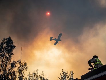 Incendio forestal en Valparaíso presenta intensidad media: descartan avance a zonas pobladas