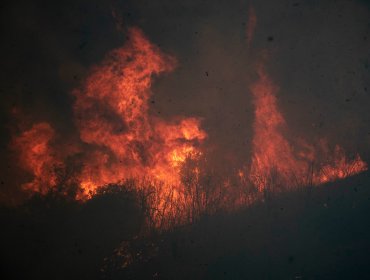 40 hectáreas ha consumido incendio forestal en Valparaíso: fuego está a 5 kilómetros de viviendas