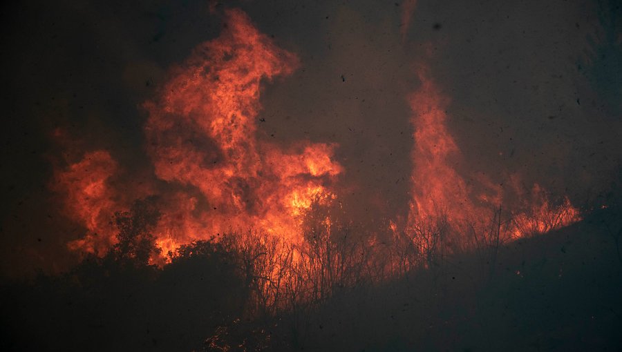 40 hectáreas ha consumido incendio forestal en Valparaíso: fuego está a 5 kilómetros de viviendas