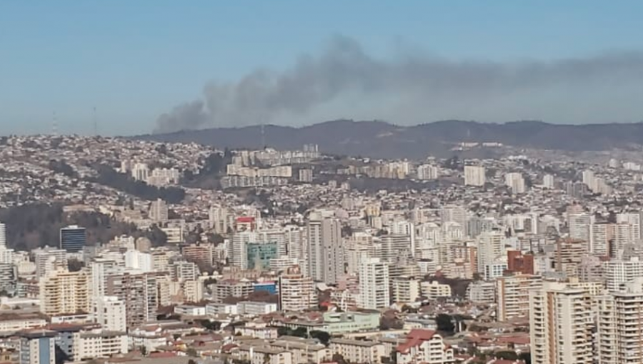 Declaran Alerta Roja en la provincia de Valparaíso por incendio forestal en el camino La Pólvora