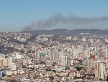 Declaran Alerta Roja en la provincia de Valparaíso por incendio forestal en el camino La Pólvora