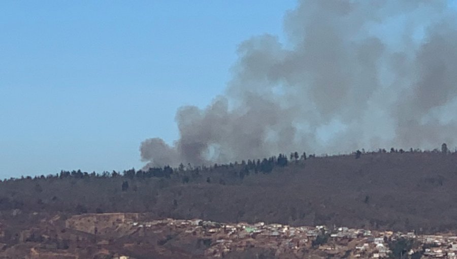 Activan Alarma Pública en Valparaíso por incendio forestal declarado en el camino La Pólvora