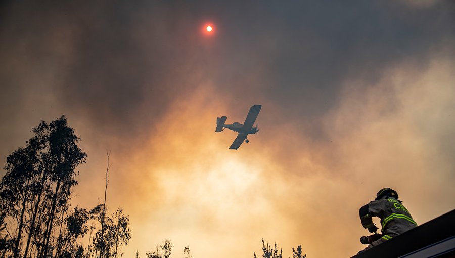 Incendio forestal en Valparaíso presenta intensidad media: descartan avance a zonas pobladas