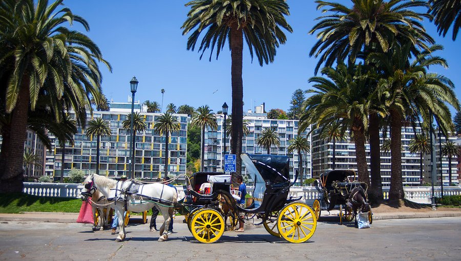 El fin de una era: tradicionales coches victoria desaparecerán de las calles de Viña del Mar