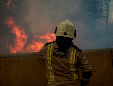 Fiscal especial investigará presunta intencionalidad en incendio forestal en la parte alta de Valparaíso