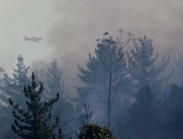 80 hectáreas ha consumido incendio forestal en las cercanías del camino La Pólvora de Valparaíso