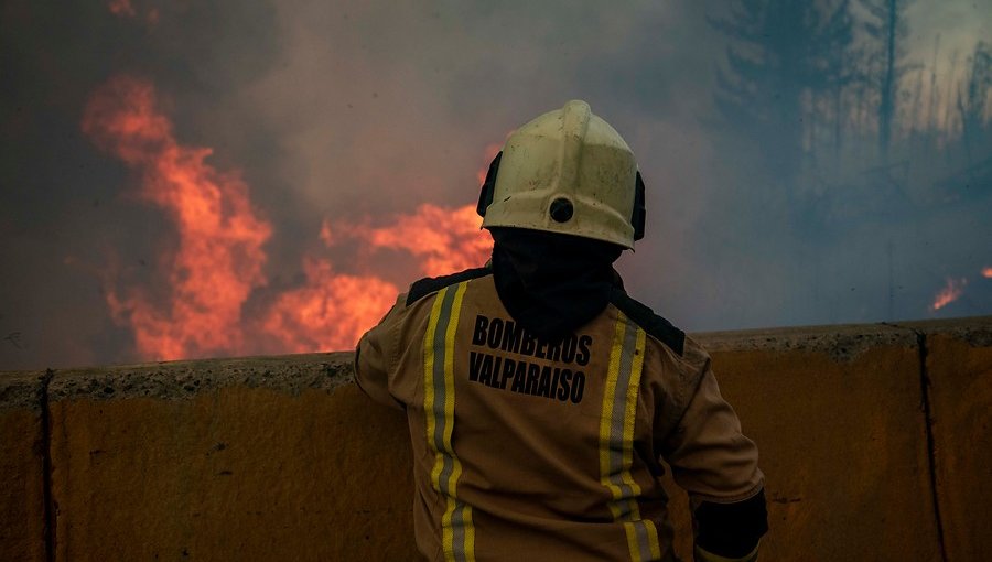 Fiscal especial investigará presunta intencionalidad en incendio forestal en la parte alta de Valparaíso