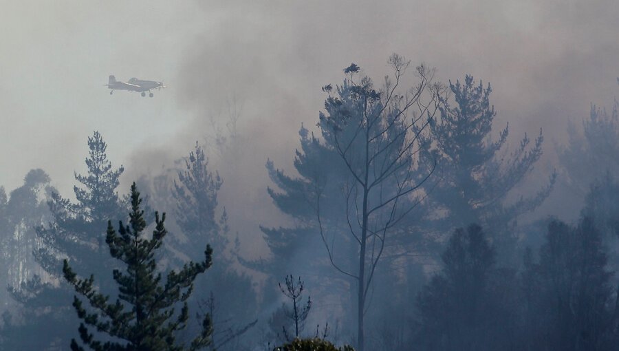 80 hectáreas ha consumido incendio forestal en las cercanías del camino La Pólvora de Valparaíso