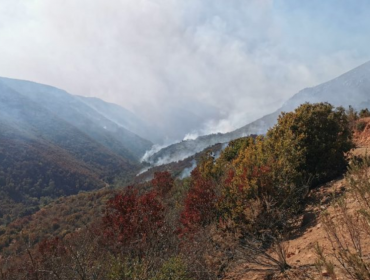 1.150 hectáreas ha consumido incendio forestal que se mantiene activo entre Quilpué y Limache