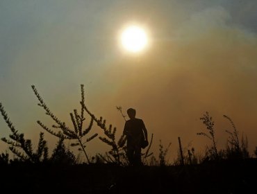 Incendio forestal en camino La Pólvora de Valparaíso se mantiene activo, pero sin avance