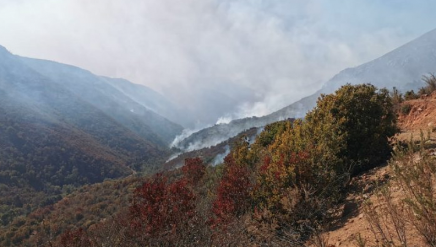 1.150 hectáreas ha consumido incendio forestal que se mantiene activo entre Quilpué y Limache